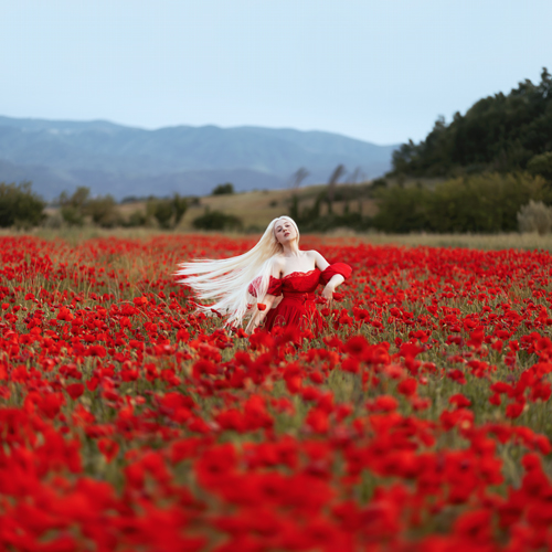 Waves of Silk and Crimson